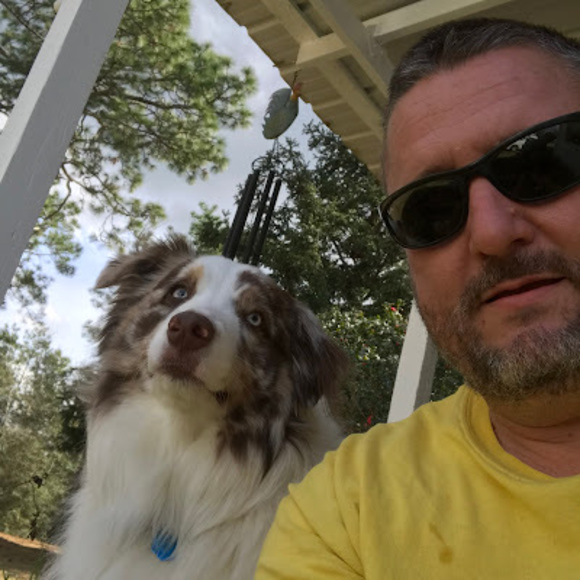 Meet your Posher, Shane - Picture 1 of 1